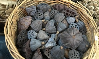 莲蓬怎样晒干 莲蓬怎么晒干