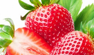 草莓长在树上还是地上（草莓长在树上还是地上图片）