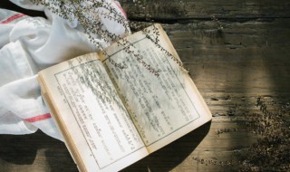 语文名词是什么意思 语文名词是什么意思举例视频