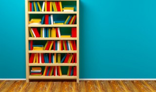 圆魄上寒空皆言四海同是什么节日（圆魄上寒空皆言四海同的意思）