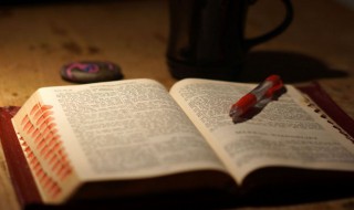 中心句的作用是什么意思 什么叫中心句,中心句的作用是什么