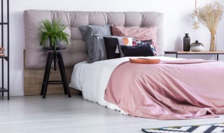 植物能放在卧室吗 植物能放在卧室吗风水好吗