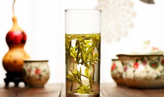 湿气重的人怎么排湿喝什么茶最好（湿气重的人怎么排湿喝什么茶最好呢）