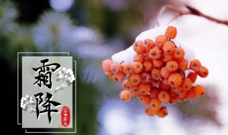 霜降祝福长辈的微信问候语 霜降问候语及关心话语