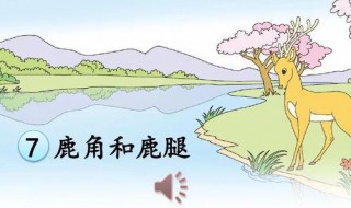 鹿角和鹿腿寓言的寓是什么（鹿腿与鹿角是什么寓言）