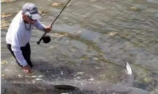 36米矶竿滑漂钓法（3.6矶竿钓滑漂）