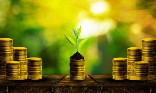 阳光金币屋怎么提现（阳光金币屋提现100是真的吗）