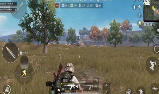 和平精英泡面在哪里（和平精英泡面在哪里买）