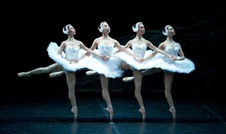 跳舞怎样弹跳起来（跳舞怎样弹跳起来视频）