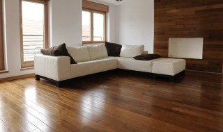 像木地板一样的地砖 像木地板一样的地砖图片