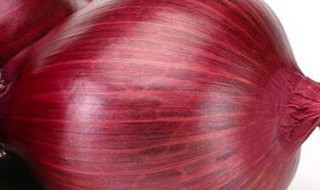 吃羊腿之前为什么吃生洋葱（羊吃了洋葱有好吗）