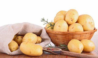 龙葵素加热会分解吗（龙葵素加热会分解吗为什么）