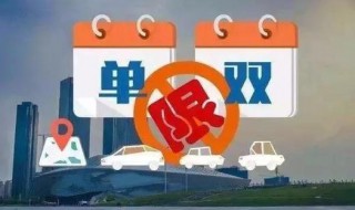 实行单号单日,双号双日行驶是什么意思 带你深入了解一下