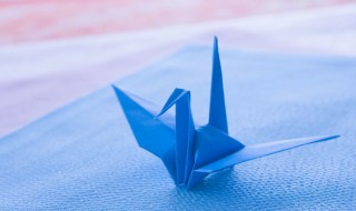 丹顶鹤的折法 丹顶鹤的折法视频