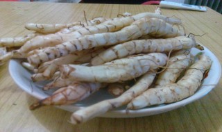 地参种植周期 地参生长周期