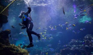 潜水员怎么在水下呼吸（潜水员用什么呼吸）