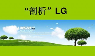 学籍号l和g有什么区别 学籍号是g还是l