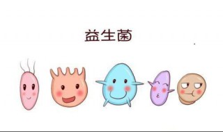 益生菌可以长期吃吗 益生菌可以长期吃吗会造成依赖吗
