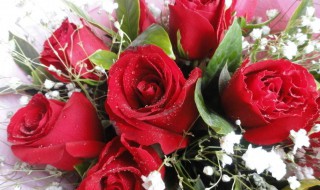 送十八朵花代表什么 送十八朵花代表什么寓意