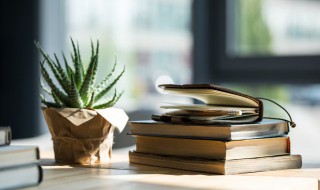 照例的意思是什么呀 照例啥意思