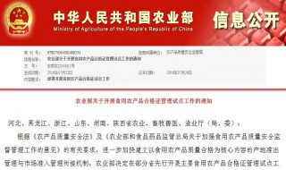 粮食水份测量仪哪家最好（粮食水份测量仪哪家最好用）