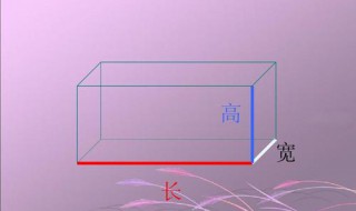 长方体有4组长宽高对吗（长方体有四组长高宽对不对）