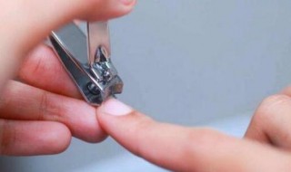 指甲脆弱易断是什么原因 指甲脆弱易断怎么办