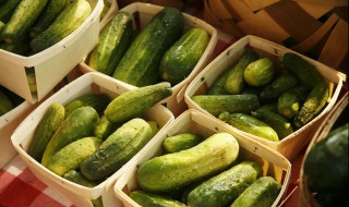 黄瓜的热量有多少（黄瓜的热量有多少卡）