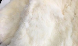 兔毛外套掉毛很厉害怎么办（兔毛衣掉毛严重怎么办）