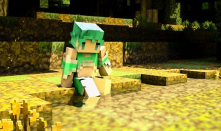 我的世界隐私设置在哪里（我的世界隐私设置在哪里设置）