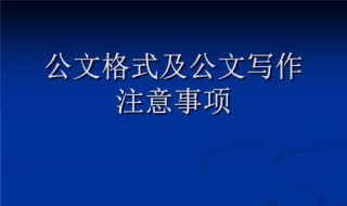 公文写签发人的格式 按规定要写签发人的公文是