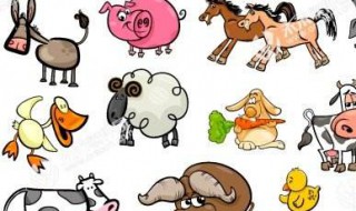 活体小动物指的是什么? 活体小动物指的是什么动物