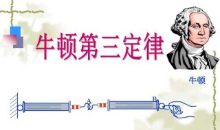 牛顿第三定律又称为什么定律 牛顿第三定律又称为什么定律呢