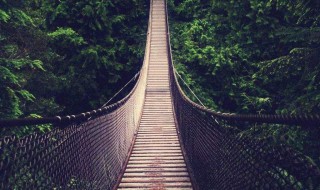 吊桥效应是什么意思 吊桥效应还有什么效应