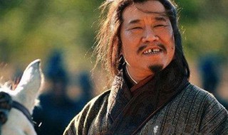 庞统简介（庞统简介资料大全）