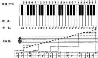 六线谱怎么看（六线谱怎么看几品）