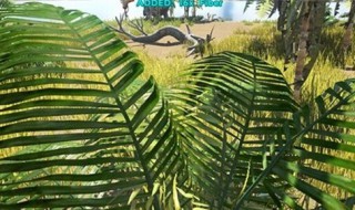 手游方舟怎么驯服动物（手游方舟生存进化怎么驯服动物）