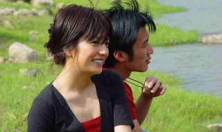 国宁杨瑞是什么电视剧（有杨瑞钟总国宁公司的电视剧叫什么）