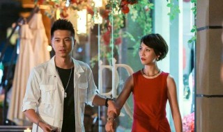 朱莉方舟是什么电视剧 朱莉和方舟结局