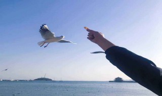 如何缓解温室效应（如何缓解温室效应问题）