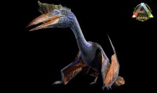 方舟翼龙能飞多高 方舟风神翼龙一般飞多高