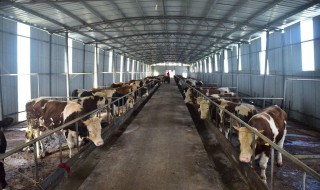 养殖场经营范围 养殖场经营范围包括啥