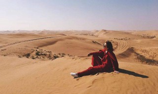 三毛撒哈拉沙漠经典语句（三毛撒哈拉沙漠经典语句读后感）