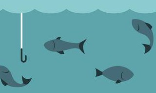 为什么钓鱼不让用血饵 为什么钓鱼不让用血饵钓