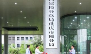 税务局是什么 税务局的职能