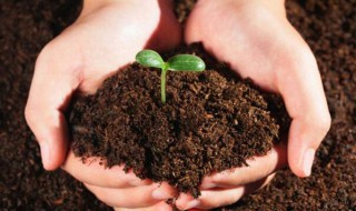 土壤也为人类提供了什么材料 土壤能为人类做些什么