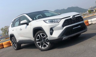 自编车牌要看号段公布吗 当天公布的车牌号段可以自编吗