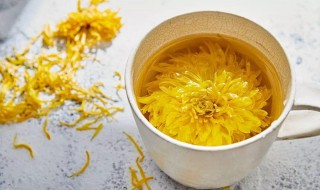 野菊花能直接泡水喝吗 野菊花可以直接泡水喝吗?