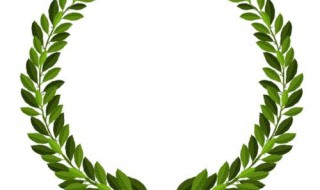 橄榄枝代表什么象征意义（橄榄枝代表着什么象征意义）