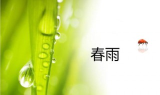 什么的春雨（什么的春雨像什么的比喻句）